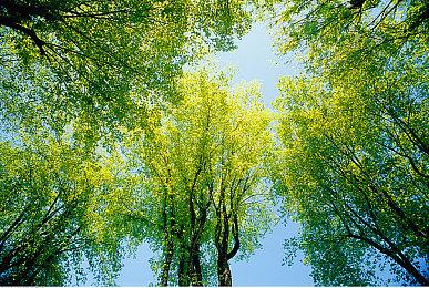 《彩虹六号：异种》总监：你不能像其他PVE合作游戏那样爽快射击